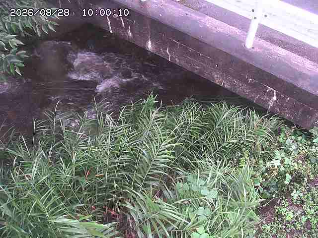 八河谷川１2026/08/28 17:00:00