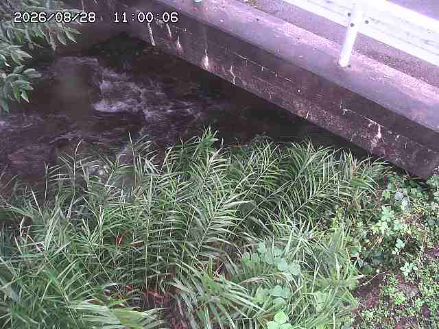 八河谷川１2026/08/28 17:00:00
