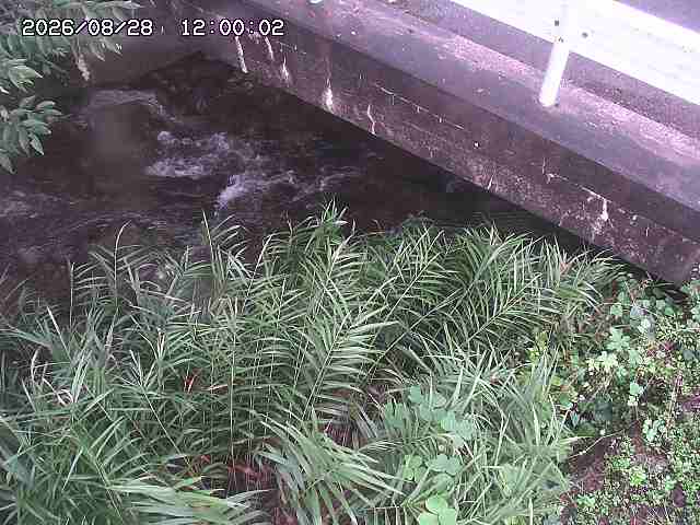 八河谷川１2026/08/28 17:00:00