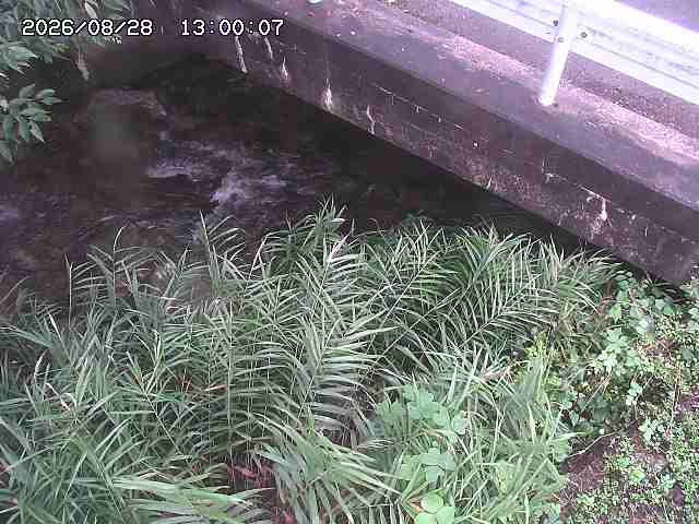 八河谷川１2026/08/28 17:00:00