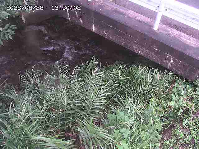 八河谷川１2026/08/28 17:00:00