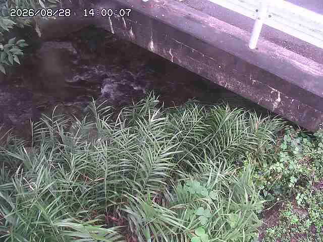 八河谷川１2026/08/28 17:00:00