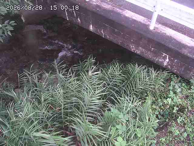 八河谷川１2026/08/28 17:00:00
