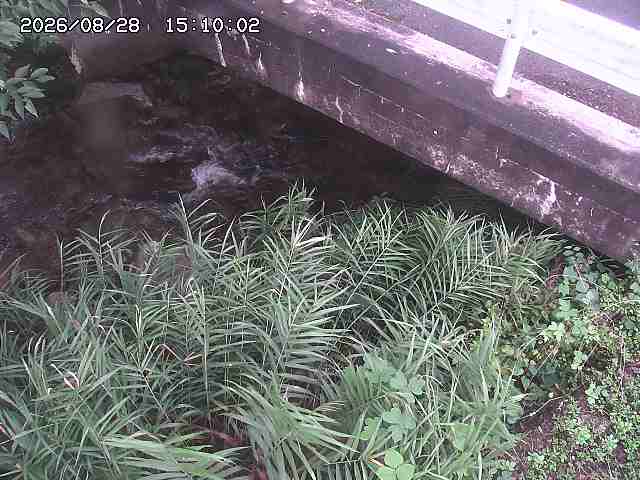 八河谷川１2026/08/28 17:00:00
