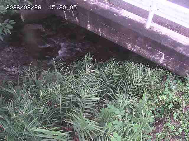 八河谷川１2026/08/28 17:00:00