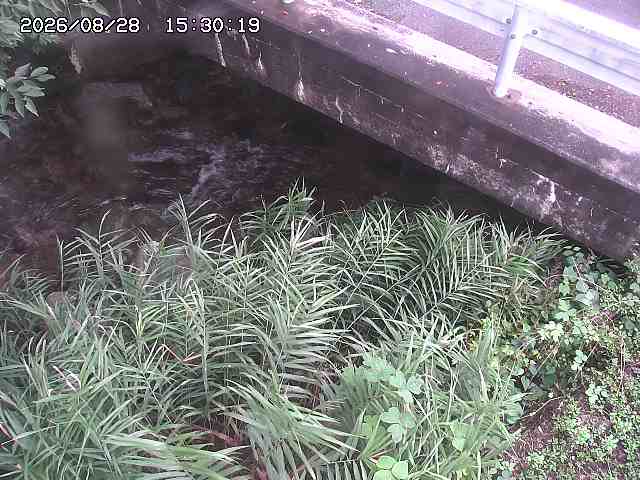 八河谷川１2026/08/28 17:00:00