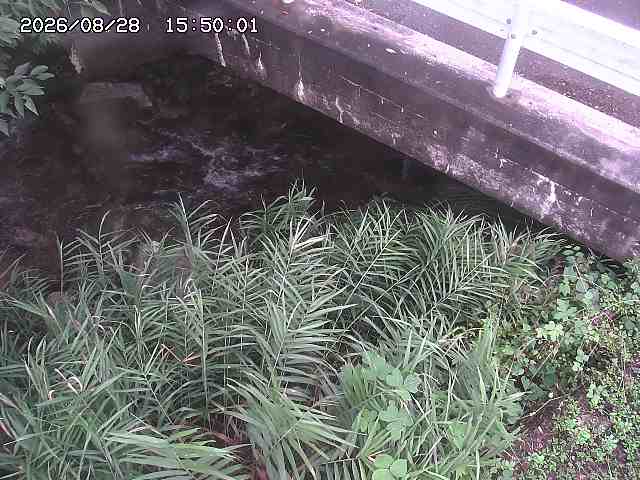 八河谷川１2026/08/28 17:00:00