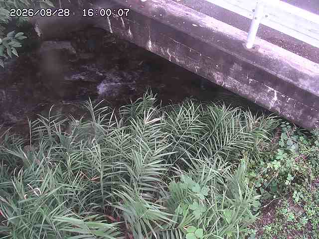 八河谷川１2026/08/28 17:00:00