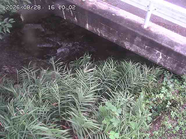 八河谷川１2026/08/28 17:00:00