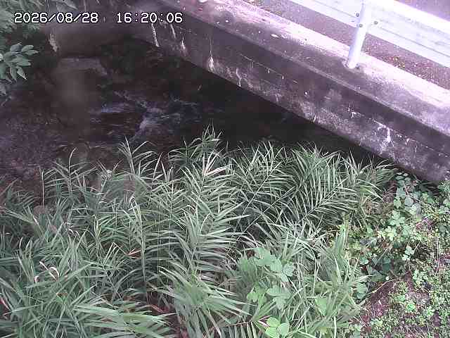 八河谷川１2026/08/28 17:00:00