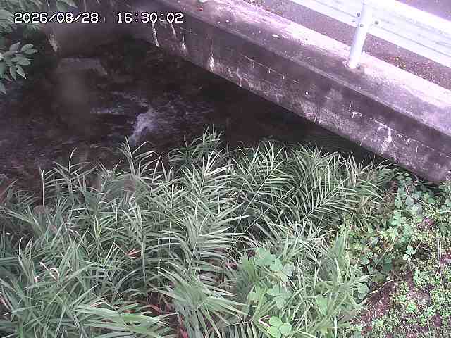 八河谷川１2026/08/28 17:00:00