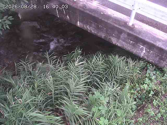 八河谷川１2026/08/28 17:00:00