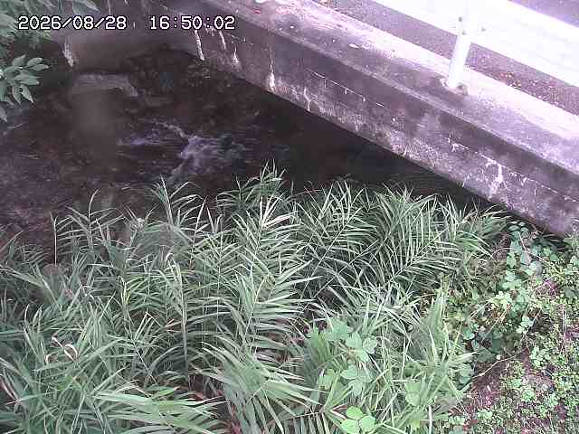 八河谷川１2026/08/28 17:00:00