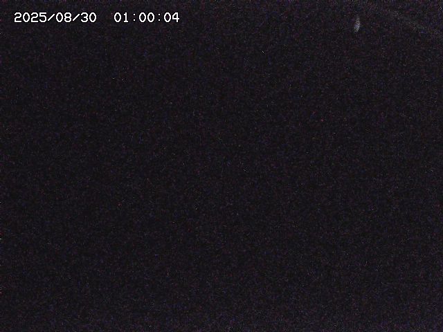 八河谷川１2025/08/31 1:00:00
