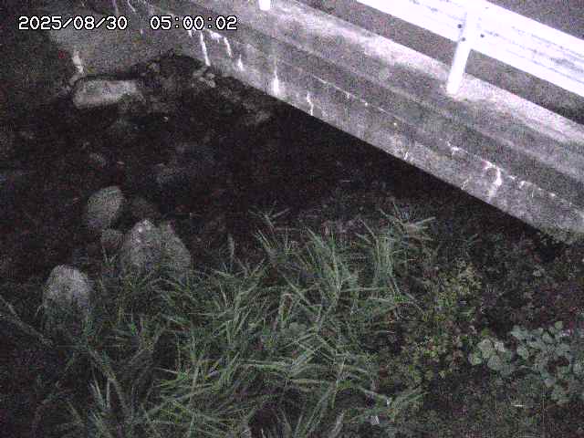 八河谷川１2025/08/31 1:00:00