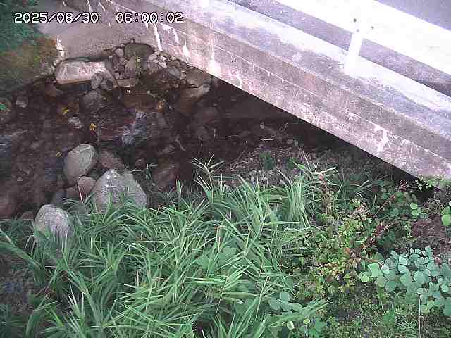 八河谷川１2025/08/31 1:00:00