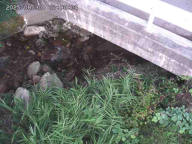 八河谷川１2025/08/31 1:00:00