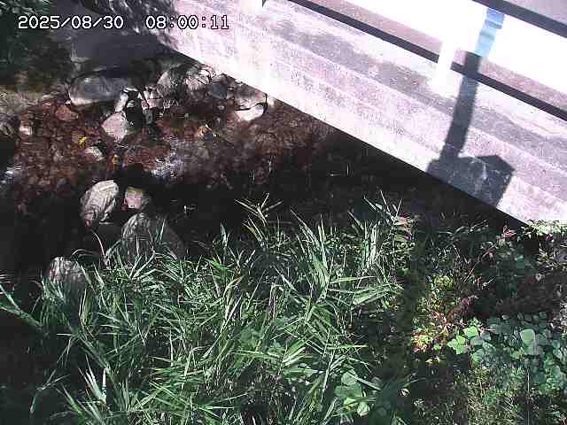 八河谷川１2025/08/31 1:00:00