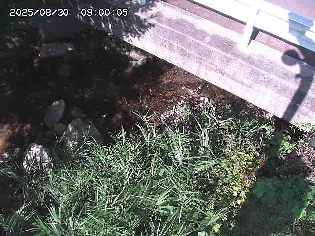 八河谷川１2025/08/31 1:00:00