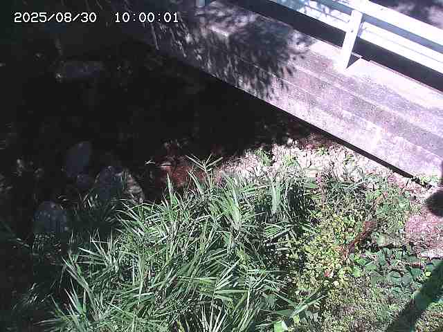 八河谷川１2025/08/31 1:00:00