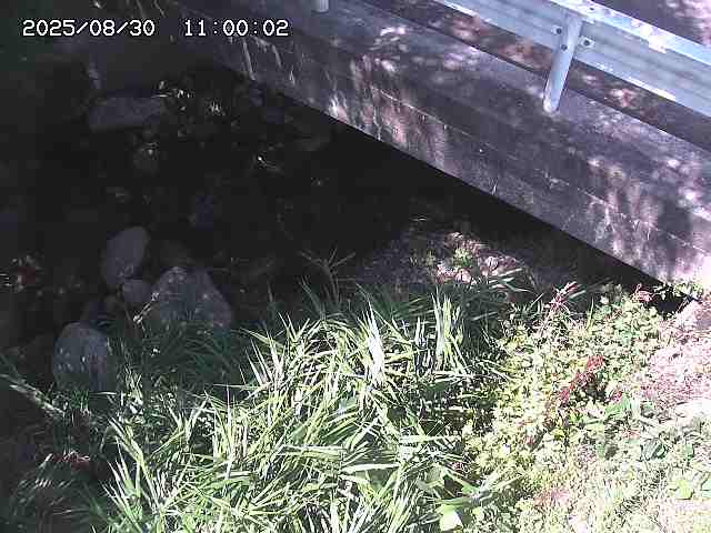 八河谷川１2025/08/31 1:00:00