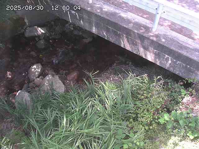 八河谷川１2025/08/31 1:00:00