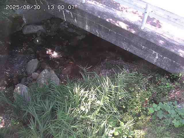 八河谷川１2025/08/31 1:00:00
