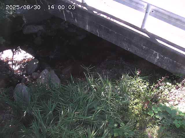 八河谷川１2025/08/31 1:00:00