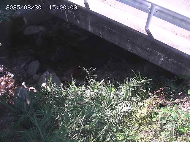 八河谷川１2025/08/31 1:00:00