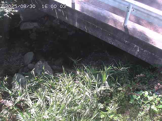 八河谷川１2025/08/31 1:00:00