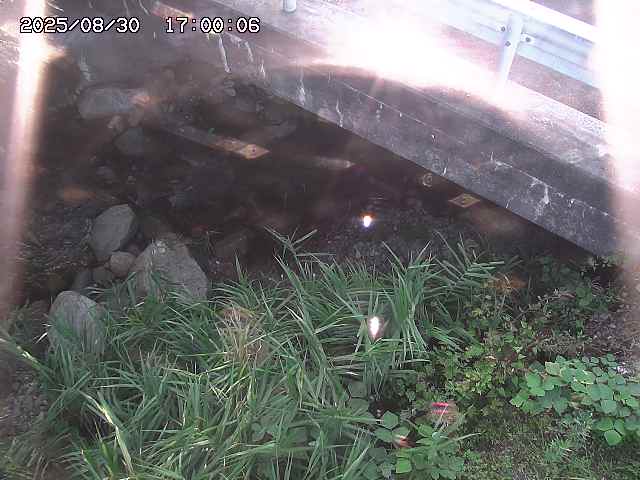八河谷川１2025/08/31 1:00:00