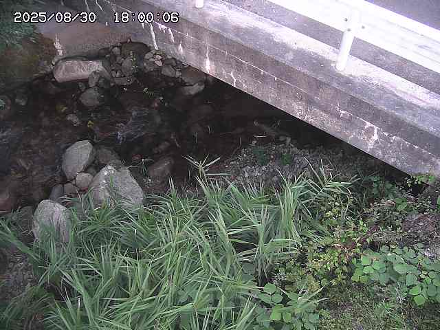 八河谷川１2025/08/31 1:00:00