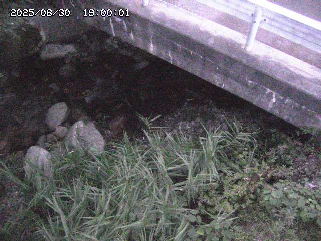 八河谷川１2025/08/31 1:00:00