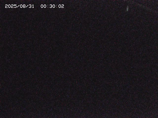 八河谷川１2025/08/31 1:00:00