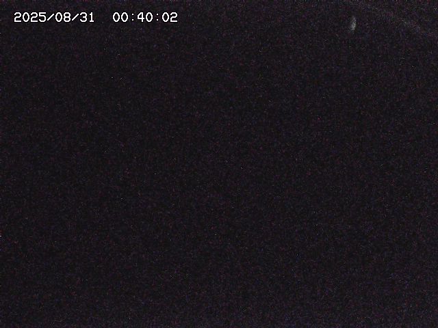八河谷川１2025/08/31 1:00:00