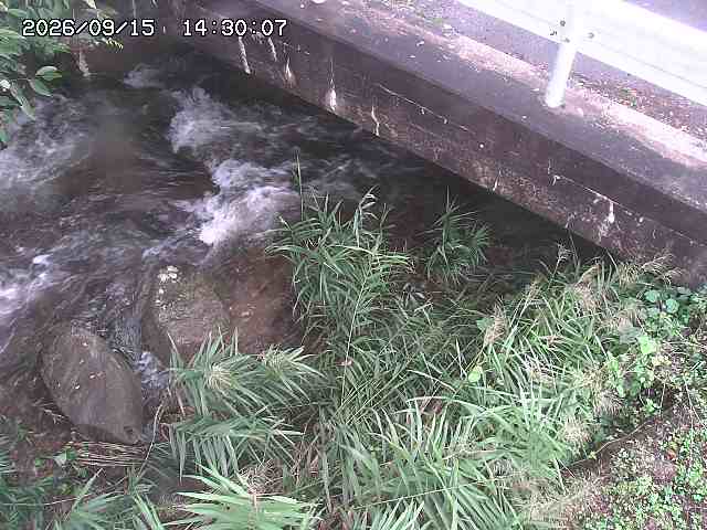 八河谷川１2026/09/15 15:30:00
