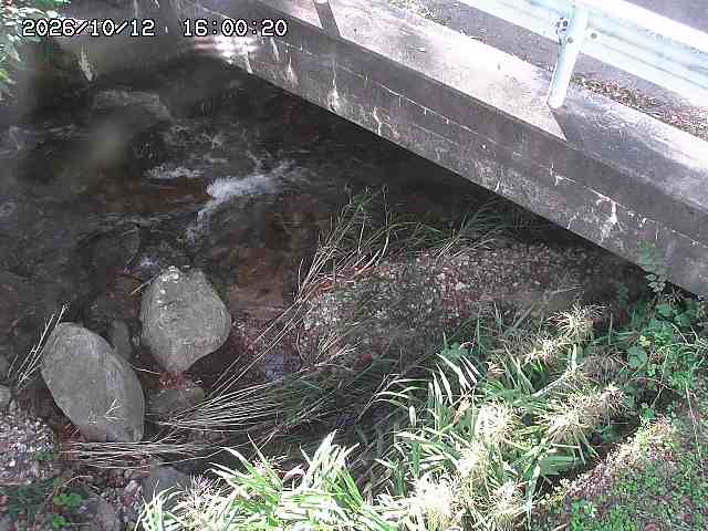 八河谷川１2026/10/13 14:30:00