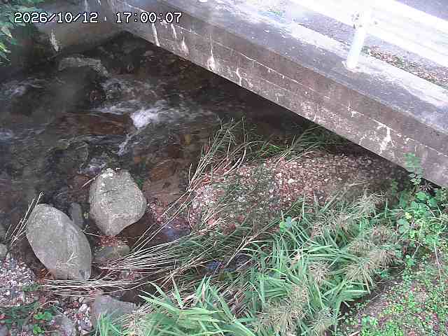 八河谷川１2026/10/13 14:30:00