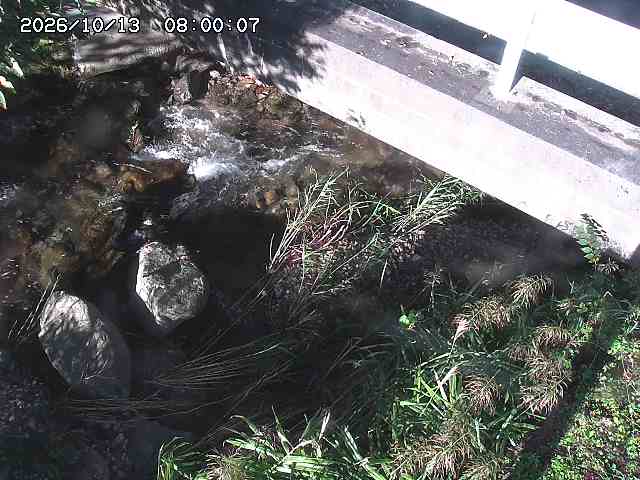 八河谷川１2026/10/13 14:30:00