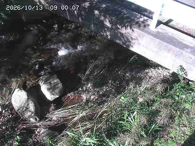 八河谷川１2026/10/13 14:30:00
