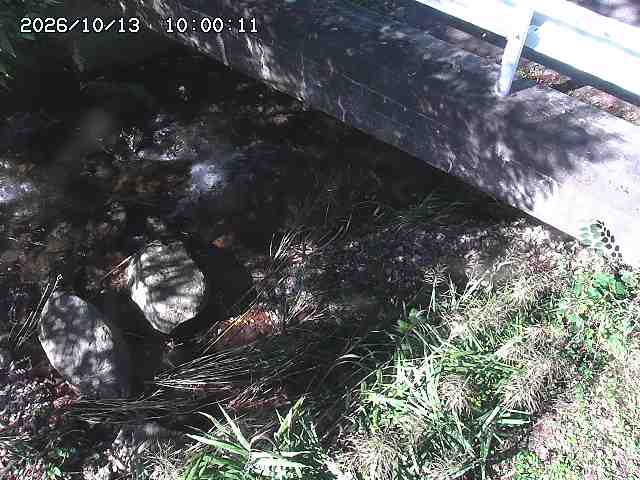 八河谷川１2026/10/13 14:30:00