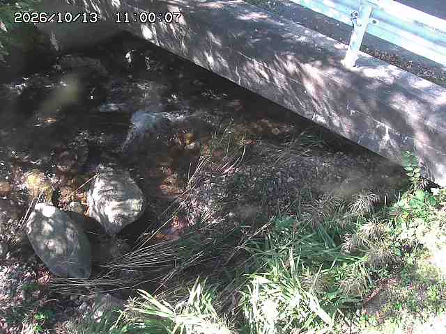 八河谷川１2026/10/13 14:30:00