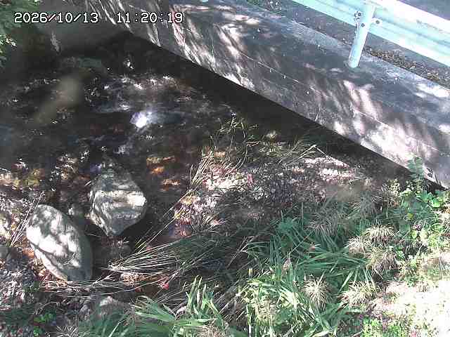 八河谷川１2026/10/13 14:30:00