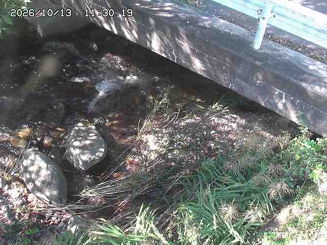 八河谷川１2026/10/13 14:30:00