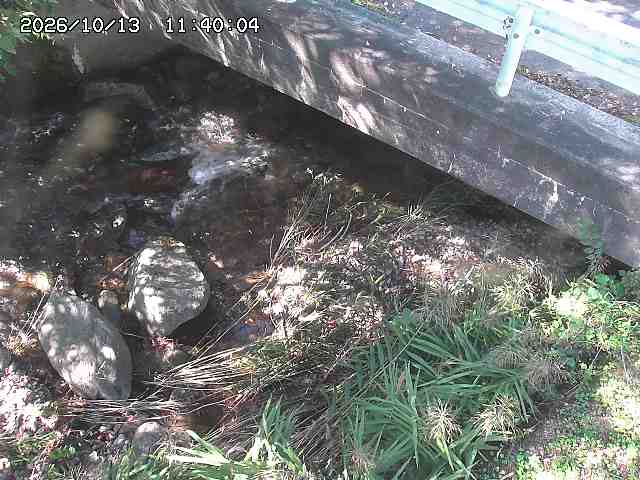 八河谷川１2026/10/13 14:30:00