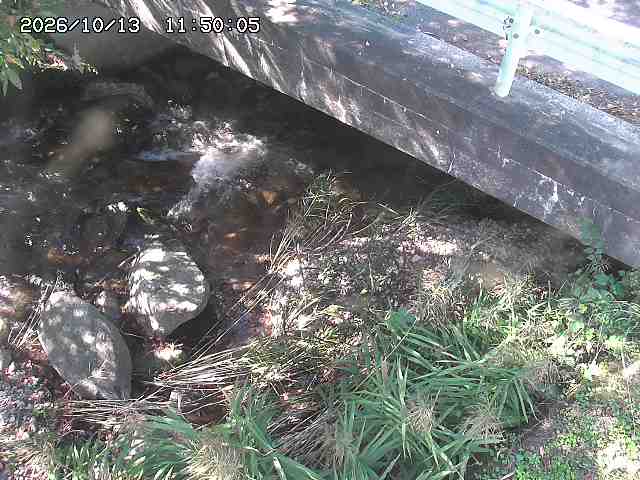 八河谷川１2026/10/13 14:30:00