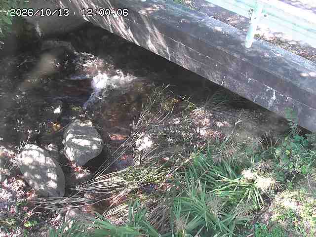 八河谷川１2026/10/13 14:30:00
