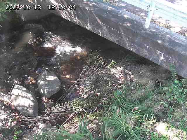 八河谷川１2026/10/13 14:30:00