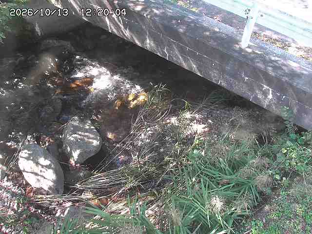 八河谷川１2026/10/13 14:30:00