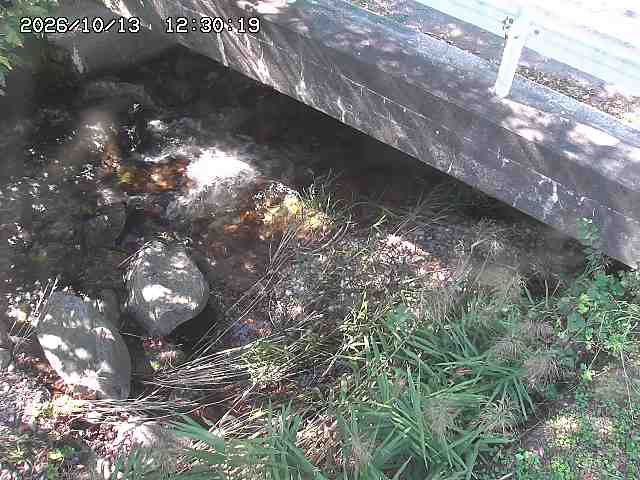 八河谷川１2026/10/13 14:30:00